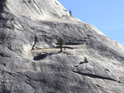 Yosemite National Park