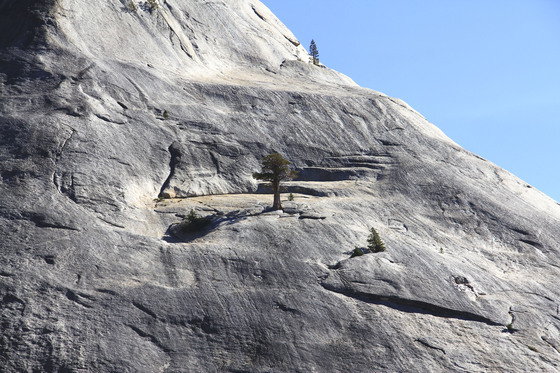 Yosemite National Park