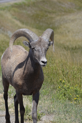 Badlands National Park