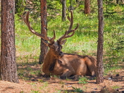 Rocky Mountain National Park