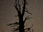Bryce Canyon