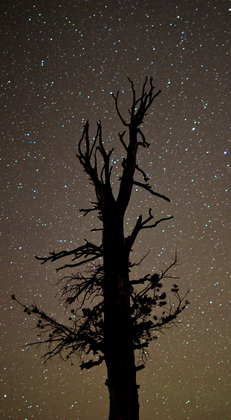 Bryce Canyon