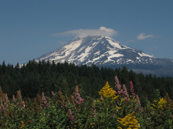 Gifford Pinchot National Forest