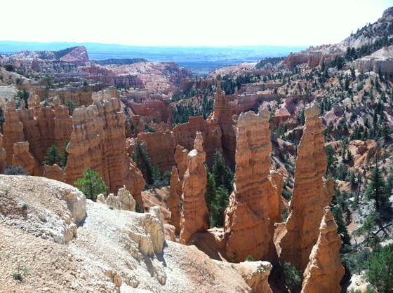 Bryce - Utah