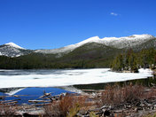 Beaverhead National Forest