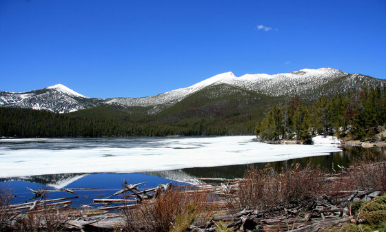 Beaverhead National Forest