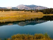 Yellowstone