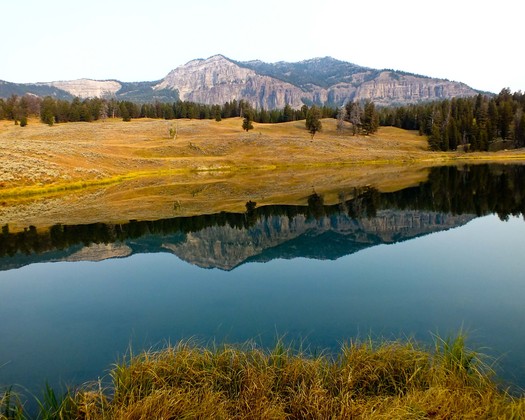 Yellowstone