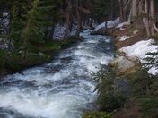 Medicine Bow National Forest