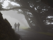 Point Reyes National Seashore