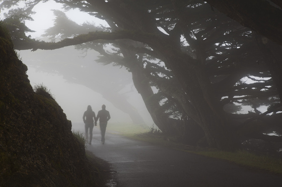 Point Reyes National Seashore