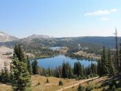 Medicine Bow National Forest