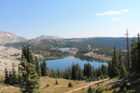 Medicine Bow National Forest