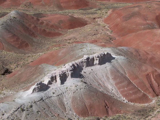Petrified Forest National Park
