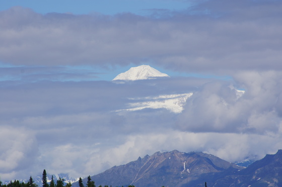 Denali National Park