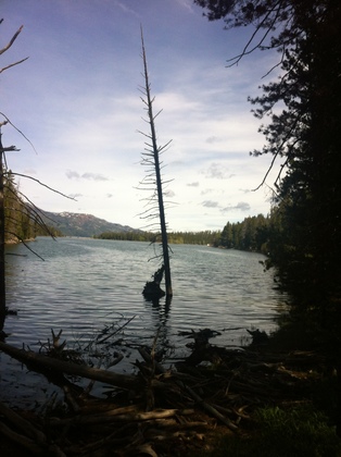 Grand Teton national park
