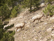 Rocky Mountain National Park