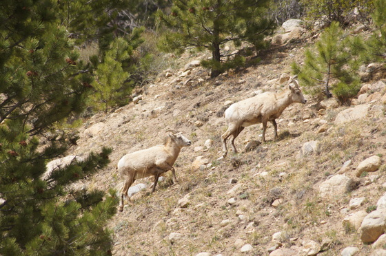 Rocky Mountain National Park