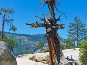 Yosemite National Park