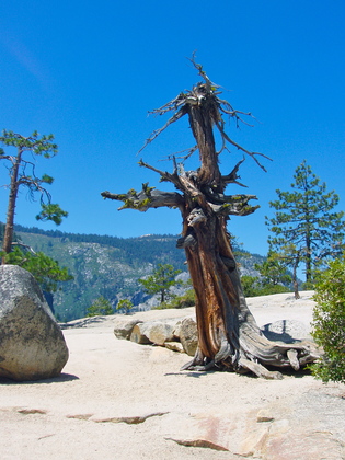 Yosemite National Park