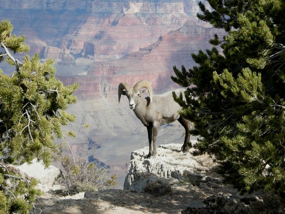Grand Canyon National Park