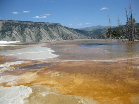 The Yellowstone National Park