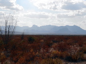 Big Bend National Park