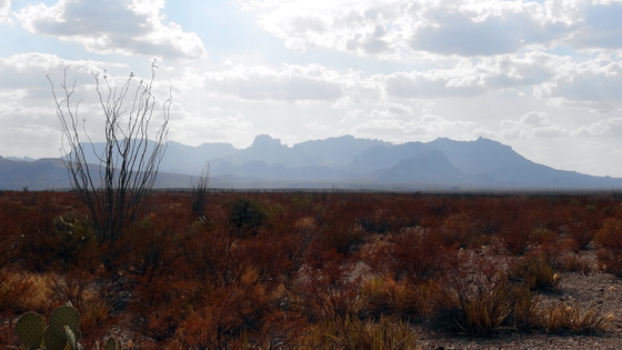 Big Bend National Park