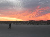 Cumberland Island National Seashore
