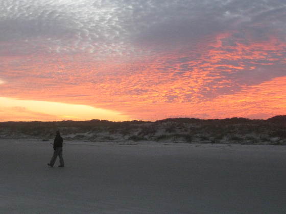 Cumberland Island National Seashore