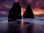 Olympic National Park