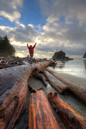 Olympic National Park