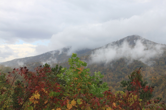 Great Smoky Mountains