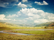 Yellowstone National Park
