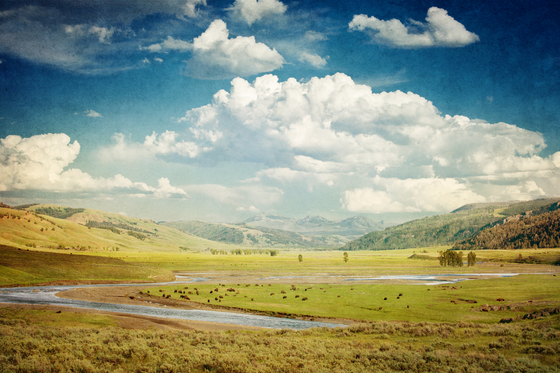 Yellowstone National Park