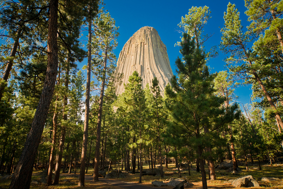 Devil's Tower National Monument
