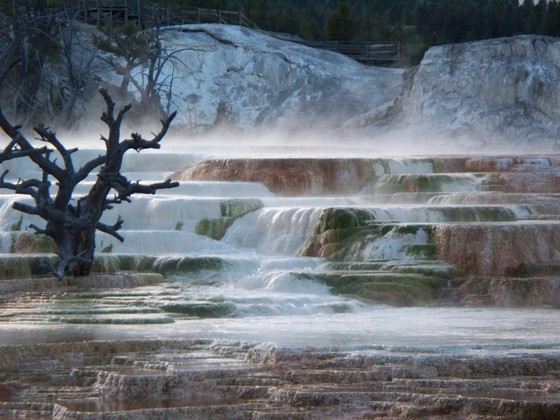 Yellowstone National Park