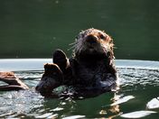 Kodiak National Wildlife Refuge