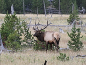 Yellowstone National Park