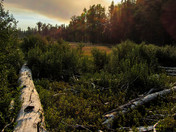 Gifford Pinchot National Forest