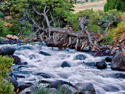 Yellowstone