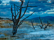 Yellowstone