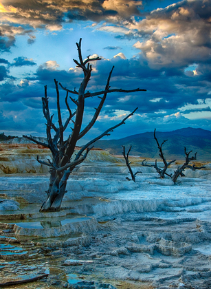 Yellowstone