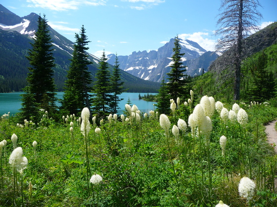 Glacier National Park