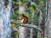 Seney National Wildlife Refuge
