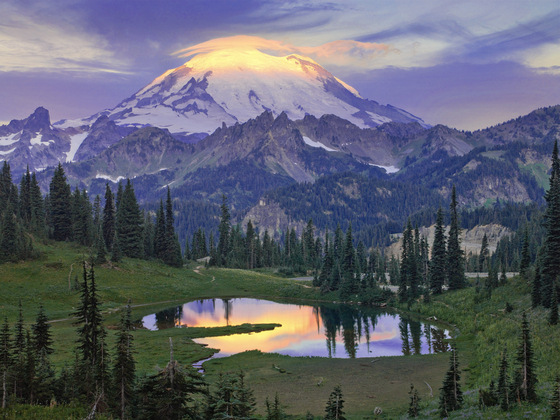 Mt. Rainier N.P.