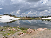 custer national forest
