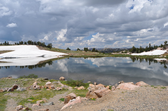custer national forest