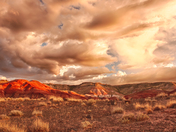 Petrified Forest National Park