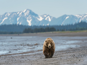 Lake Clark National Park